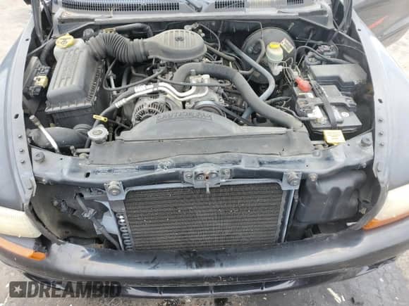 1998 Dodge Dakota SLT z VIN 1B7GG22Y8WS625882, wystawiony jako Copart lot #65057055 z przebiegiem 96 407 mil mil oraz Szkoda całkowita • Salvage title. Historia ofert i sprzedaży dostępna na DreamBid. Obrazek 11.