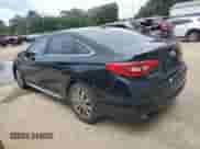 2017 Hyundai Sonata Sport z VIN 5NPE34AF2HH524403, wystawiony jako Copart lot #81095925 z przebiegiem 184 714 mil mil oraz Czysty tytuł • Clean title. Historia ofert i sprzedaży dostępna na DreamBid. Obrazek 2.