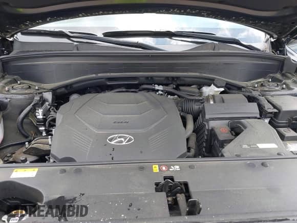 2024 Hyundai Palisade Calligraphy z VIN KM8R7DGE9RU739025, wystawiony jako IAAI lot #42072855 z przebiegiem 10 537 mil mil oraz . Historia ofert i sprzedaży dostępna na DreamBid. Obrazek 10.