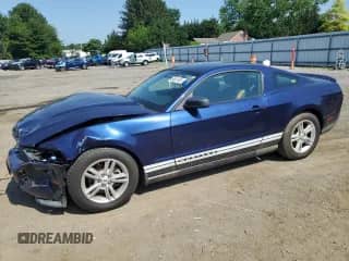 2012 Ford Mustang Premium с VIN 1ZVBP8AM8C5220883, выставлен на аукционе Copart как лот 60831045 с пробегом 146 671 миль миль и Списание • Salvage title. История ставок и продаж доступна на DreamBid. Изображение 1.
