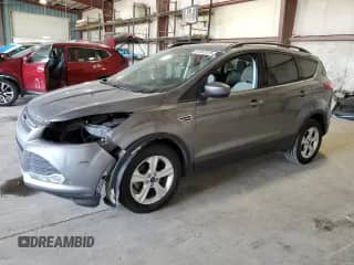 2014 Ford Escape SE with VIN 1FMCU0GX7EUD29973, listed as a Copart auction lot 81947075 with 98,096 mi miles and Salvage title. Bid and sale history available at DreamBid. Image 1.