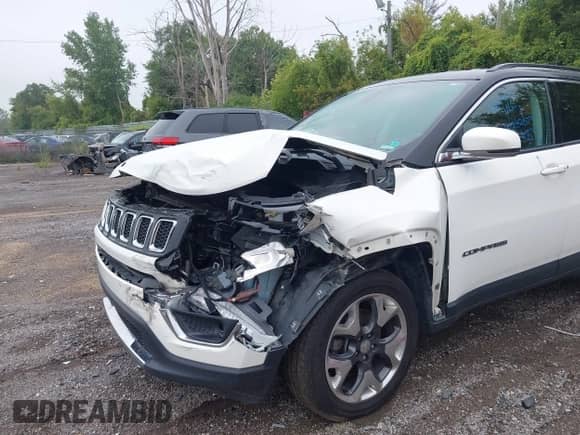 2019 Jeep Compass Limited with VIN 3C4NJDCB8KT679240, listed as a IAAI auction lot 43282073 with 53,935 mi miles and . Bid and sale history available at DreamBid. Image 6.