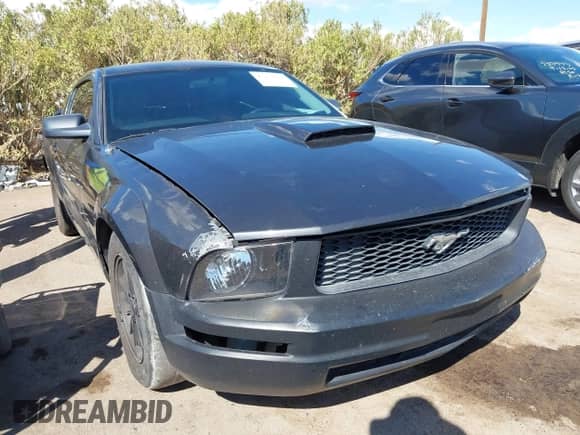 2008 Ford Mustang Deluxe with VIN 1ZVHT80NX85209374, listed as a IAAI auction lot 43254062 with 141,567 mi miles and . Bid and sale history available at DreamBid. Image 6.