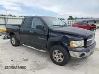 2002 Dodge 1500 z VIN 1B7HU18Z32J106214, wystawiony jako Copart lot #71780234 z przebiegiem 194 853 mil mil oraz Szkoda całkowita • Salvage title. Historia ofert i sprzedaży dostępna na DreamBid. Obrazek 4.