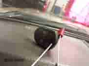 2011 Ford F-250 XL с VIN 1FT7W2BTXBEA84737, выставлен на аукционе IAAI как лот 42728470 с пробегом 198 980 миль миль и . История ставок и продаж доступна на DreamBid. Изображение 11.