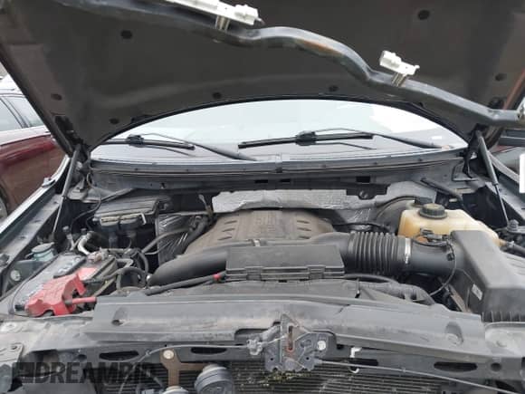 2013 Ford F-150 XL with VIN 1FTFX1CTXDFA65958, listed as a IAAI auction lot 41071126 with 146,919 mi miles and . Bid and sale history available at DreamBid. Image 10.