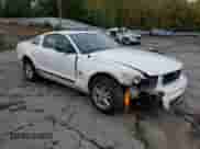 2009 Ford Mustang with VIN 1ZVHT80N995122020, listed as a Copart auction lot 85936615 with 126,766 mi miles and Salvage title. Bid and sale history available at DreamBid. Image 4.