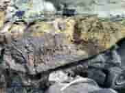 2015 Dodge Durango SXT with VIN 1C4RDJAG2FC888786, listed as a Copart auction lot 57725194 with Not provided miles and Salvage title. Bid and sale history available at DreamBid. Image 9.