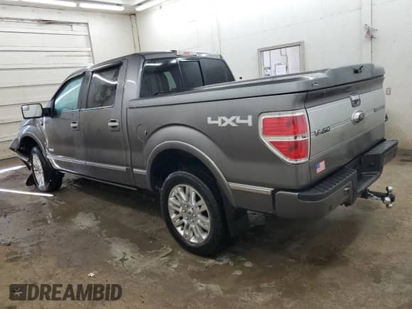 2013 Ford F-150 Lariat with VIN 1FTFW1ET5DFD74768, listed as a Copart auction lot 80084485 with 99,919 mi miles and Salvage title. Bid and sale history available at DreamBid. Image 2.