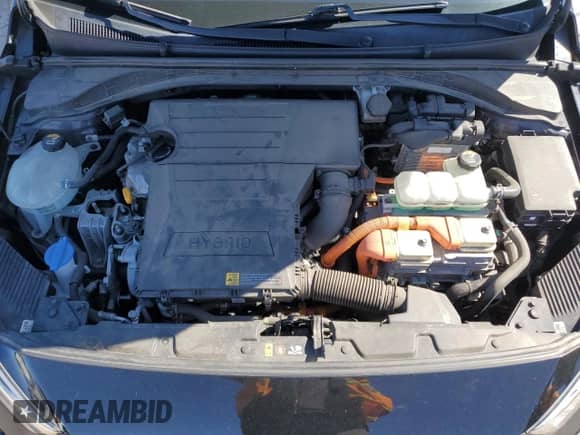 2019 Hyundai Ioniq Blue z VIN KMHC65LC8KU124376, wystawiony jako Copart lot #49629244 z przebiegiem 62 301 mil mil oraz . Historia ofert i sprzedaży dostępna na DreamBid. Obrazek 11.