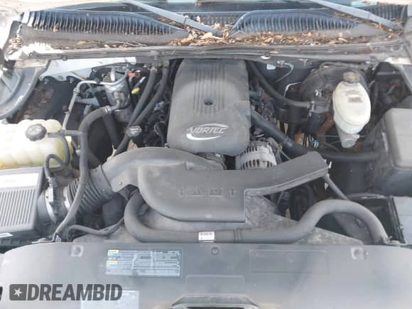 2003 Chevrolet Tahoe LS with VIN 1GNEC13V73R207423, listed as a IAAI auction lot 42626717 with 203,774 mi miles and . Bid and sale history available at DreamBid. Image 10.