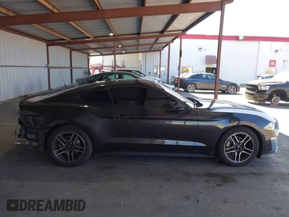 2023 Ford Mustang EcoBoost с VIN 1FA6P8TH4P5101051, выставлен на аукционе IAAI как лот 42616429 с пробегом 26 277 миль миль и . История ставок и продаж доступна на DreamBid. Изображение 14.