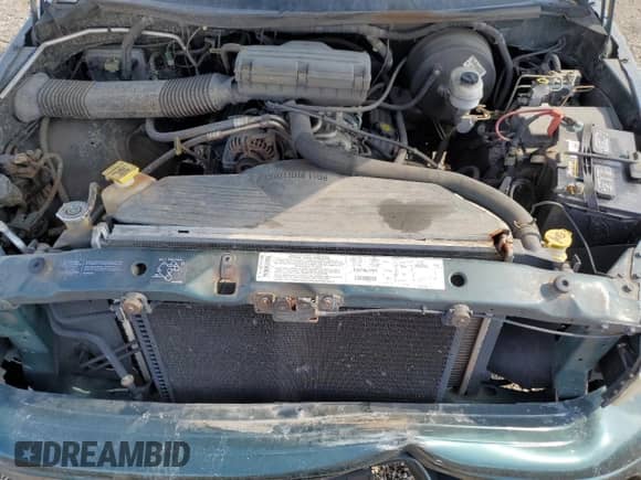 2001 Dodge 1500 with VIN 3B7HC13Z01M247687, listed as a Copart auction lot 61376775 with Not provided miles and Non repairable. Bid and sale history available at DreamBid. Image 11.