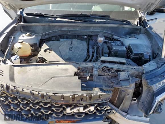 2023 Kia Sorento X-Line S with VIN 5XYRLDLC9PG243788, listed as a Copart auction lot 66151745 with 111,381 mi miles and Salvage title. Bid and sale history available at DreamBid. Image 12.