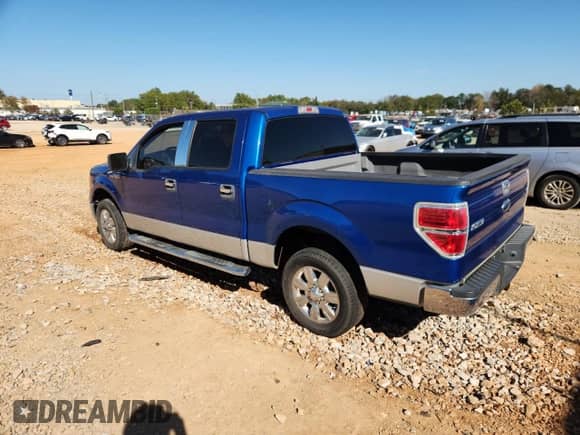 2010 Ford F-150 XL with VIN 1FTEW1C80AFC64894, listed as a Copart auction lot 82698365 with 254,163 mi miles and Clean title. Bid and sale history available at DreamBid. Image 1.