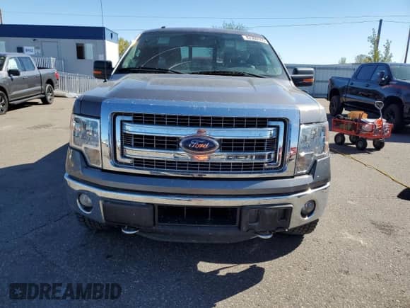 2014 Ford F-150 XL with VIN 1FTFX1ET3EKE32463, listed as a Copart auction lot 82300555 with 110,726 mi miles and Salvage title. Bid and sale history available at DreamBid. Image 5.
