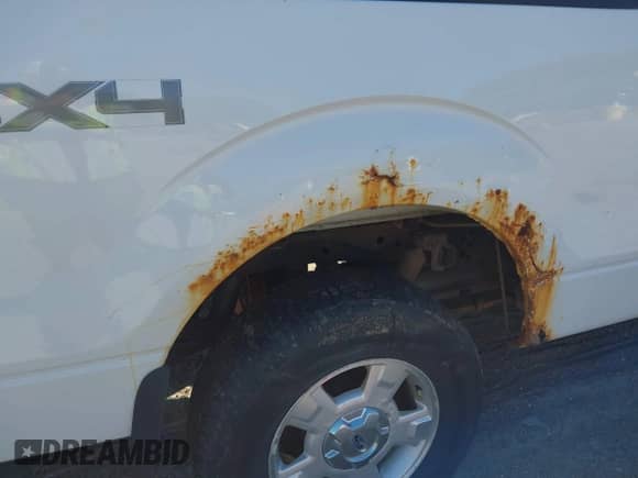 2011 Ford F-150 XL z VIN 1FTFX1EF9BFB43957, wystawiony jako IAAI lot #43409116 z przebiegiem 226 266 mil mil oraz . Historia ofert i sprzedaży dostępna na DreamBid. Obrazek 20.