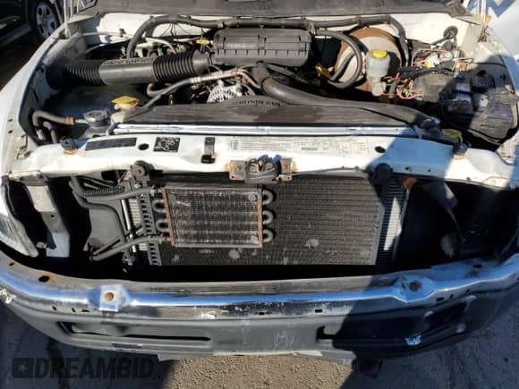 1998 Dodge 2500 with VIN 3B7KF22Z6WG116838, listed as a Copart auction lot 88107935 with 110,564 mi miles and Clean title. Bid and sale history available at DreamBid. Image 11.