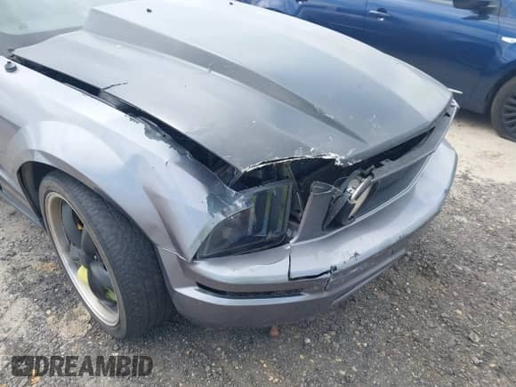 2006 Ford Mustang Standard with VIN 1ZVFT80N565231531, listed as a IAAI auction lot 42756442 with 268,208 mi miles and . Bid and sale history available at DreamBid. Image 6.