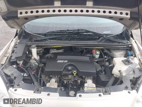 2007 Chevrolet Uplander Cargo с VIN 1GBDV13117D124394, выставлен на аукционе IAAI как лот 41987266 с пробегом 44 956 миль миль и . История ставок и продаж доступна на DreamBid. Изображение 10.