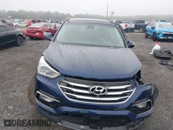 2018 Hyundai Santa Fe Ultimate с VIN 5XYZWDLA9JG546891, выставлен на аукционе IAAI как лот 43248438 с пробегом Не указан миль и . История ставок и продаж доступна на DreamBid. Изображение 11.