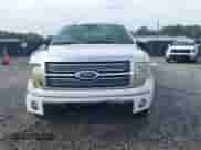 2009 Ford F-150 XL with VIN 1FTPW12V69FA75775, listed as a IAAI auction lot 43413296 with 196,577 mi miles and . Bid and sale history available at DreamBid. Image 12.