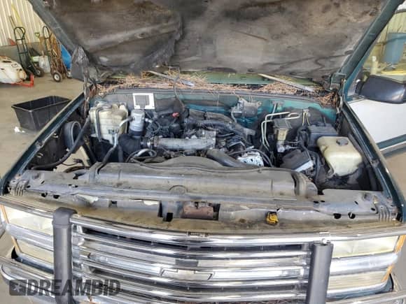 1995 Chevrolet Silverado 2500 z VIN 1GCGC29F4SE230283, wystawiony jako Copart lot #75626644 z przebiegiem 153 551 mil mil oraz Czysty tytuł • Clean title. Historia ofert i sprzedaży dostępna na DreamBid. Obrazek 11.
