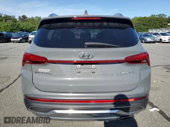 2021 Hyundai Santa Fe Limited with VIN 5NMS4DAL9MH360385, listed as a Copart auction lot 69620425 with 75,591 mi miles and Salvage title. Bid and sale history available at DreamBid. Image 6.