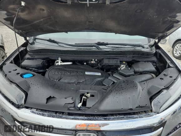 2017 Honda Pilot Elite z VIN 5FNYF6H04HB020693, wystawiony jako Copart lot #81411135 z przebiegiem Nie podano mil oraz Szkoda całkowita • Salvage title. Historia ofert i sprzedaży dostępna na DreamBid. Obrazek 11.