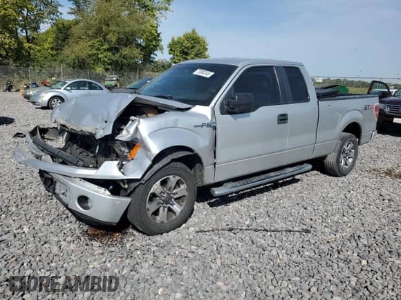 2014 Ford F-150 XL with VIN 1FTEX1CM6EFB83771, listed as a Copart auction lot 72080345 with 167,230 mi miles and Clean title. Bid and sale history available at DreamBid. Image 1.