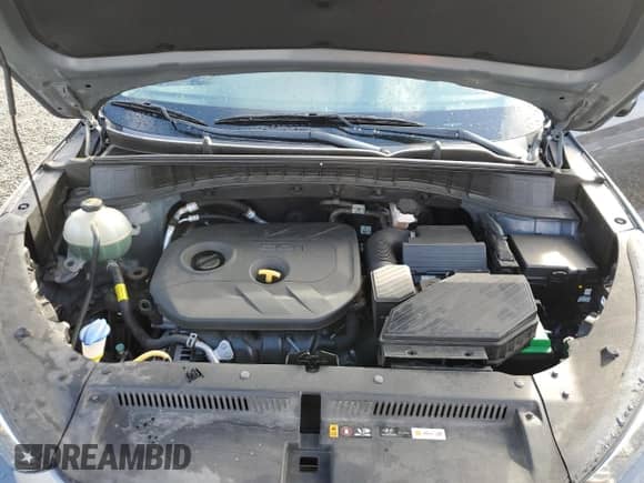 2018 Hyundai Tucson SE с VIN KM8J23A47JU811429, выставлен на аукционе Copart как лот 46677985 с пробегом 39 472 миль миль и Чистый • Clean title. История ставок и продаж доступна на DreamBid. Изображение 12.