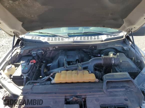 2015 Ford F-150 XL z VIN 1FTEX1CP9FKD23623, wystawiony jako Copart lot #85056155 z przebiegiem 185 988 mil mil oraz Czysty tytuł • Clean title. Historia ofert i sprzedaży dostępna na DreamBid. Obrazek 11.