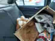 2016 Chevrolet Cruze LS с VIN 1G1BB5SM2G7276285, выставлен на аукционе Copart как лот 50049205 с пробегом 125 638 миль миль и Чистый • Clean title. История ставок и продаж доступна на DreamBid. Изображение 10.