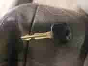 2012 Hyundai Elantra Limited z VIN KMHDH4AE2CU283277, wystawiony jako IAAI lot #42844741 z przebiegiem 113 812 mil mil oraz . Historia ofert i sprzedaży dostępna na DreamBid. Obrazek 11.