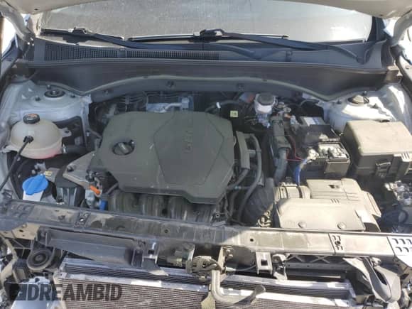 2021 Hyundai Santa Fe SEL with VIN 5NMS64AJ2MH330914, listed as a Copart auction lot 49106615 with 46,593 mi miles and Salvage title. Bid and sale history available at DreamBid. Image 11.