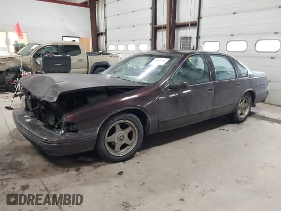 1996 Chevrolet Caprice 1SA Special Value with VIN 1G1BL52PXTR177137, listed as a IAAI auction lot 41437962 with Not provided miles and . Bid and sale history available at DreamBid. Image 2.