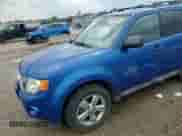 2011 Ford Escape XLT с VIN 1FMCU9DG9BKB24509, выставлен на аукционе Copart как лот 81302685 с пробегом 206 523 миль миль и Списание • Salvage title. История ставок и продаж доступна на DreamBid. Изображение 14.