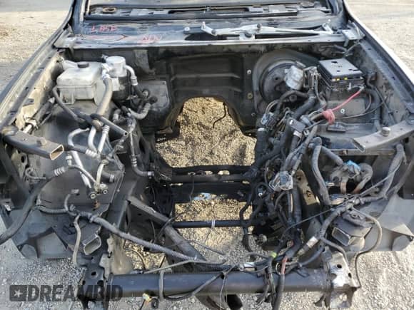 2006 Chevrolet TrailBlazer LT with VIN 1GNES13H862314703, listed as a Copart auction lot 79294584 with Not provided miles and Salvage title. Bid and sale history available at DreamBid. Image 12.