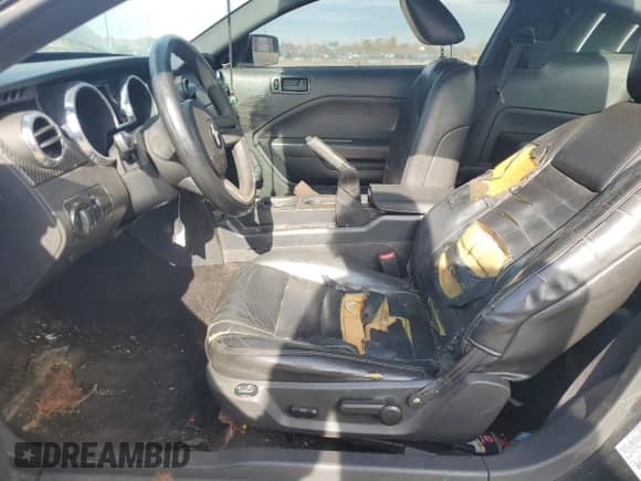 2006 Ford Mustang GT Deluxe с VIN 1ZVFT82H465109301, выставлен на аукционе Copart как лот 82591665 с пробегом 269 863 миль миль и Чистый • Clean title. История ставок и продаж доступна на DreamBid. Изображение 7.