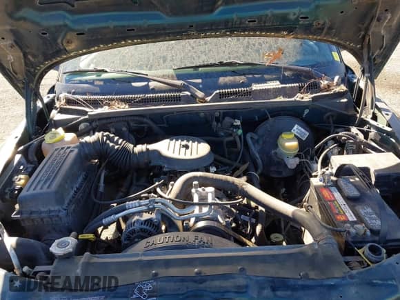 1998 Dodge Dakota SLT with VIN 1B7GG22Y0WS524464, listed as a IAAI auction lot 41806151 with 185,380 mi miles and . Bid and sale history available at DreamBid. Image 10.