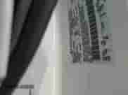 2001 Ford F-150 XL с VIN 1FTZX17251NC04314, выставлен на аукционе Copart как лот 86109475 с пробегом Не указан миль и Списание • Salvage title. История ставок и продаж доступна на DreamBid. Изображение 12.