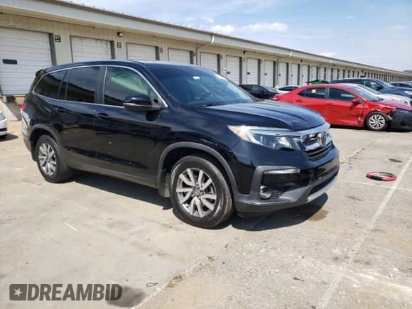 2019 Honda Pilot EX-L with VIN 5FNYF5H51KB044267, listed as a Copart auction lot 81035125 with 63,625 mi miles and Non repairable. Bid and sale history available at DreamBid. Image 4.