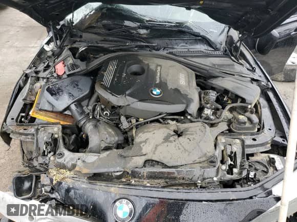 2017 BMW 3 Series 330i with VIN WBA8B9C52HK675855, listed as a Copart auction lot 80554455 with Not provided miles and Salvage title. Bid and sale history available at DreamBid. Image 11.