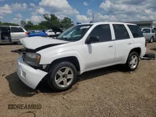 2008 Chevrolet TrailBlazer 2LT с VIN 1GNDS13S182138930, выставлен на аукционе Copart как лот 65026905 с пробегом 314 782 миль миль и Списание • Salvage title. История ставок и продаж доступна на DreamBid. Изображение 1.