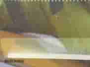 2006 Ford Mustang Standard с VIN 1ZVFT80N065160089, выставлен на аукционе IAAI как лот 43156110 с пробегом 212 075 миль миль и . История ставок и продаж доступна на DreamBid. Изображение 9.