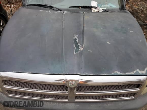 1997 Dodge 1500 с VIN 3B7HF13ZXVG726453, выставлен на аукционе Copart как лот 78866064 с пробегом 222 077 миль миль и Списание • Salvage title. История ставок и продаж доступна на DreamBid. Изображение 11.