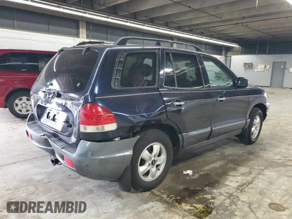 2005 Hyundai Santa Fe GLS with VIN KM8SC73E95U907423, listed as a Copart auction lot 66934375 with 181,994 mi miles and Salvage title. Bid and sale history available at DreamBid. Image 3.