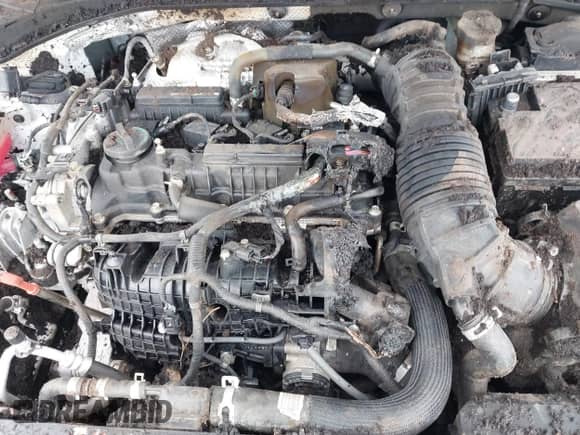 2021 Hyundai Veloster z VIN KMHT36AH3MU009877, wystawiony jako IAAI lot #42209546 z przebiegiem Nie podano mil oraz . Historia ofert i sprzedaży dostępna na DreamBid. Obrazek 6.