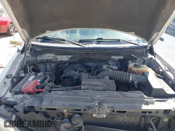 2013 Ford F-150 XLT z VIN 1FTMF1CM9DFB20984, wystawiony jako IAAI lot #43336851 z przebiegiem 312 173 mil mil oraz . Historia ofert i sprzedaży dostępna na DreamBid. Obrazek 10.