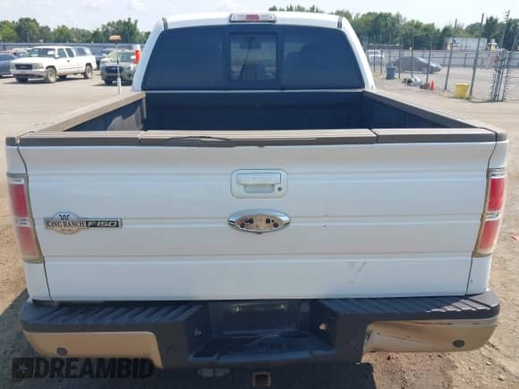 2013 Ford F-150 XL with VIN 1FTFW1ET5DKE96439, listed as a IAAI auction lot 42919120 with Not provided miles and . Bid and sale history available at DreamBid. Image 15.